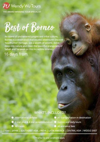 Best Of Borneo Tour