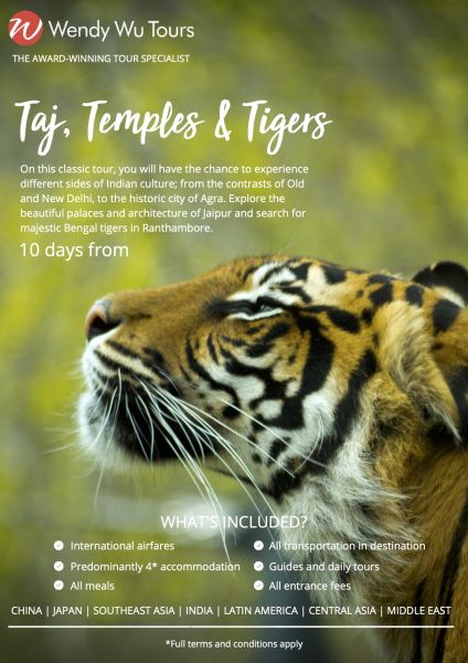Taj Temples and Tigers